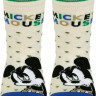 Шкарпетки дитячі Conte-kids Disney 17С-126СПМ (349)