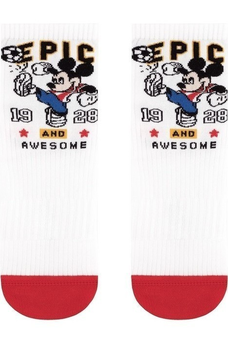 Шкарпетки дитячі Conte-kids ©Disney 17С-170СПМ (370)