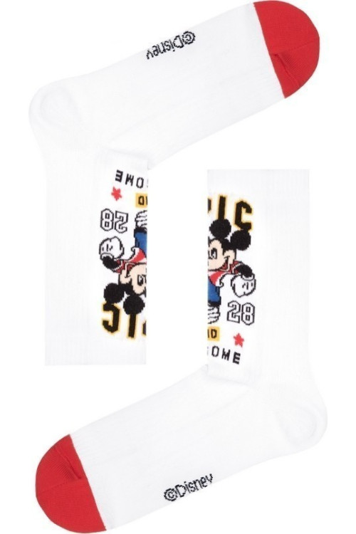 Шкарпетки дитячі Conte-kids ©Disney 17С-170СПМ (370)